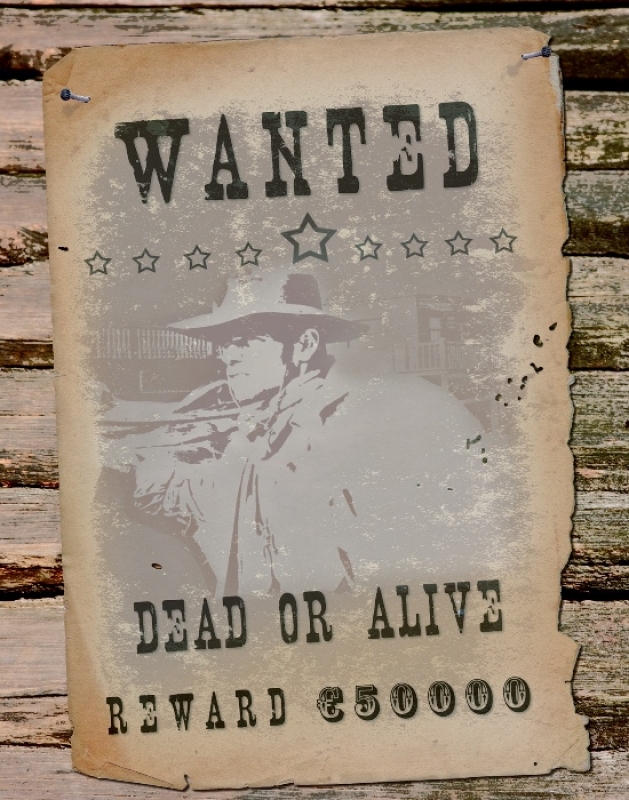 Wanted dead or alive Schild